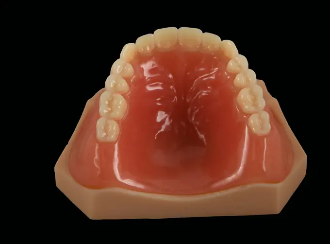 full denture acrylic teeth